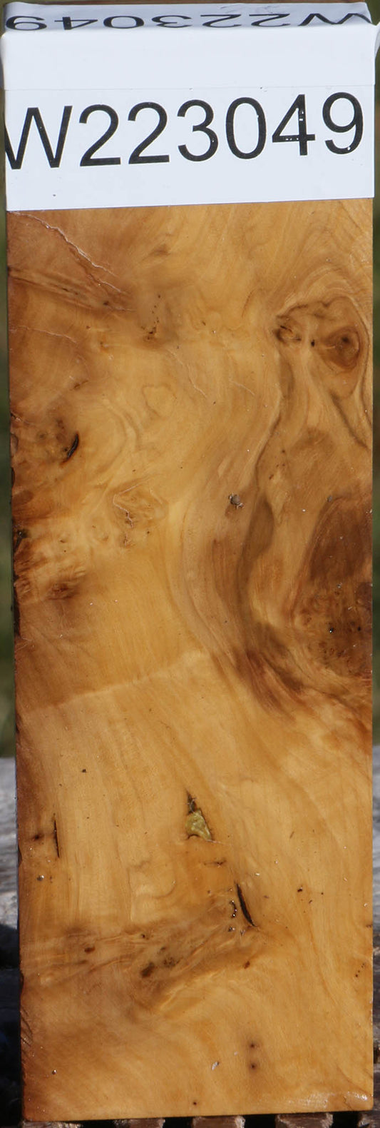 Hopea Stone Burl Lumber