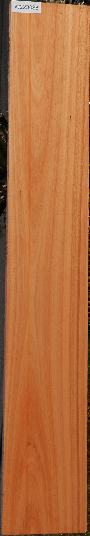Red Grandis Lumber