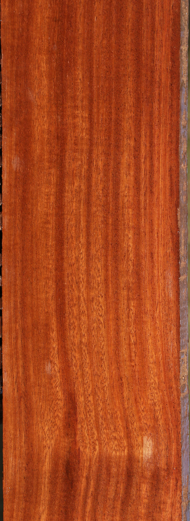 Santos Mahogany Lumber