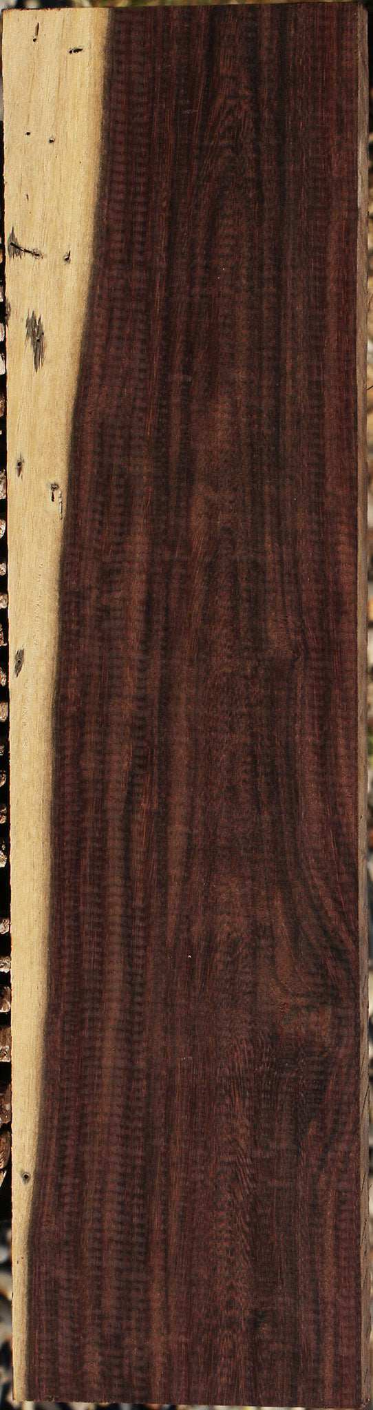 Katalox Lumber