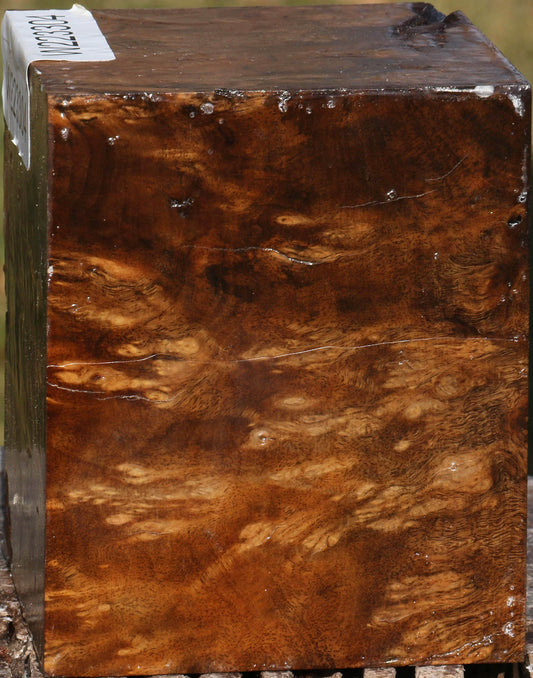 Almond Burl Bowl Blank