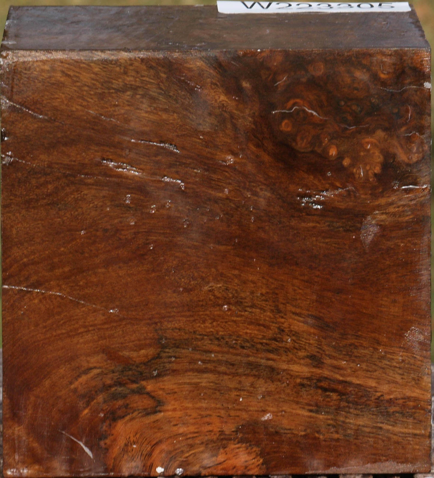 Almond Burl Bowl Blank