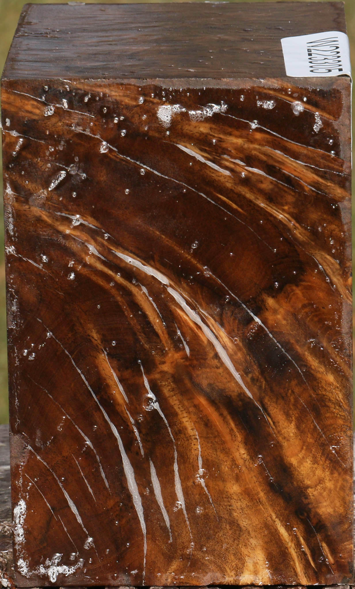 Almond Burl Bowl Blank