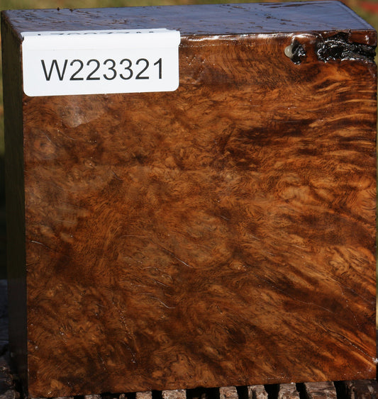 Almond Burl Bowl Blank