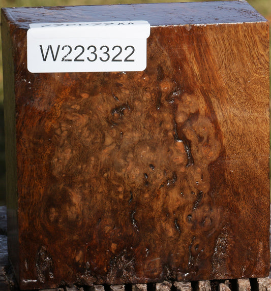 Almond Burl Bowl Blank