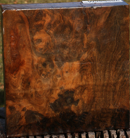 Almond Burl Bowl Blank