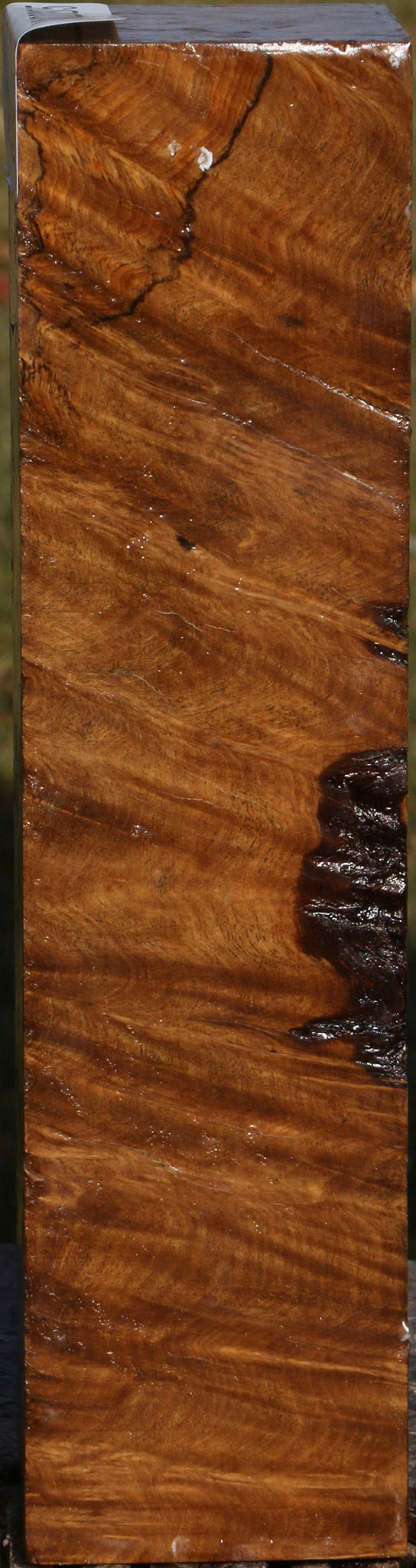 Almond Burl Turning Square