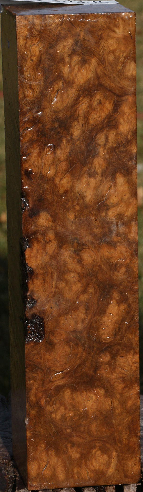 Almond Burl Turning Square
