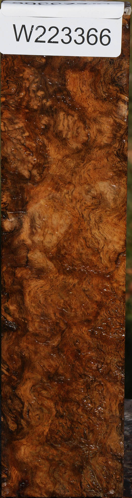 Almond Burl Lumber