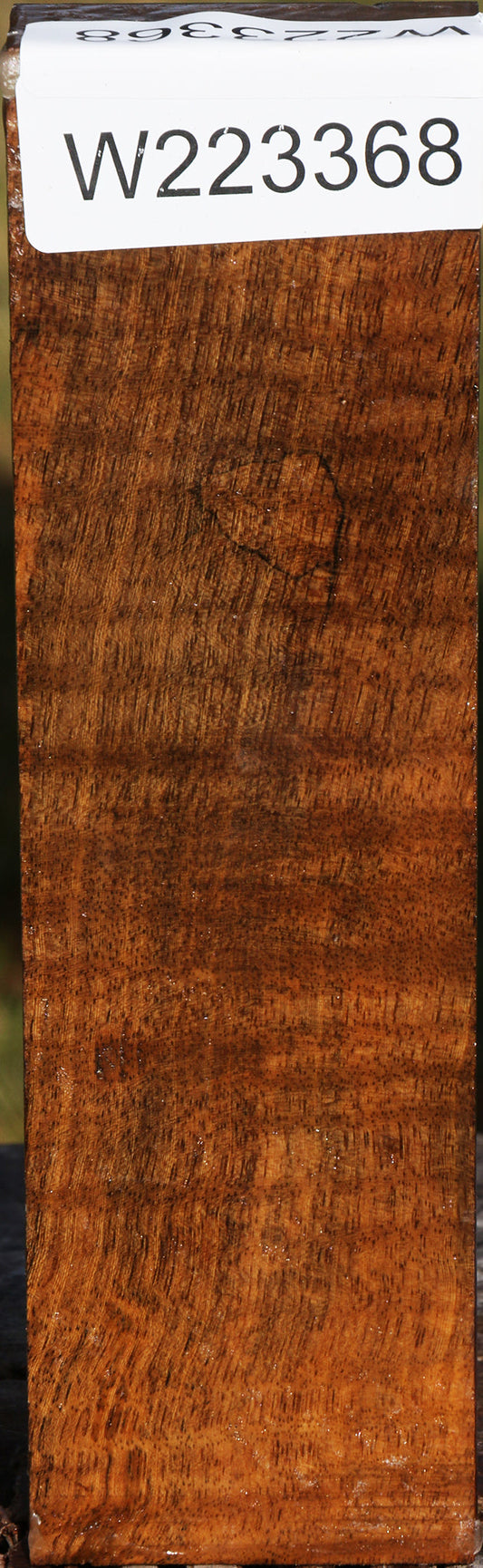 Almond Burl Lumber