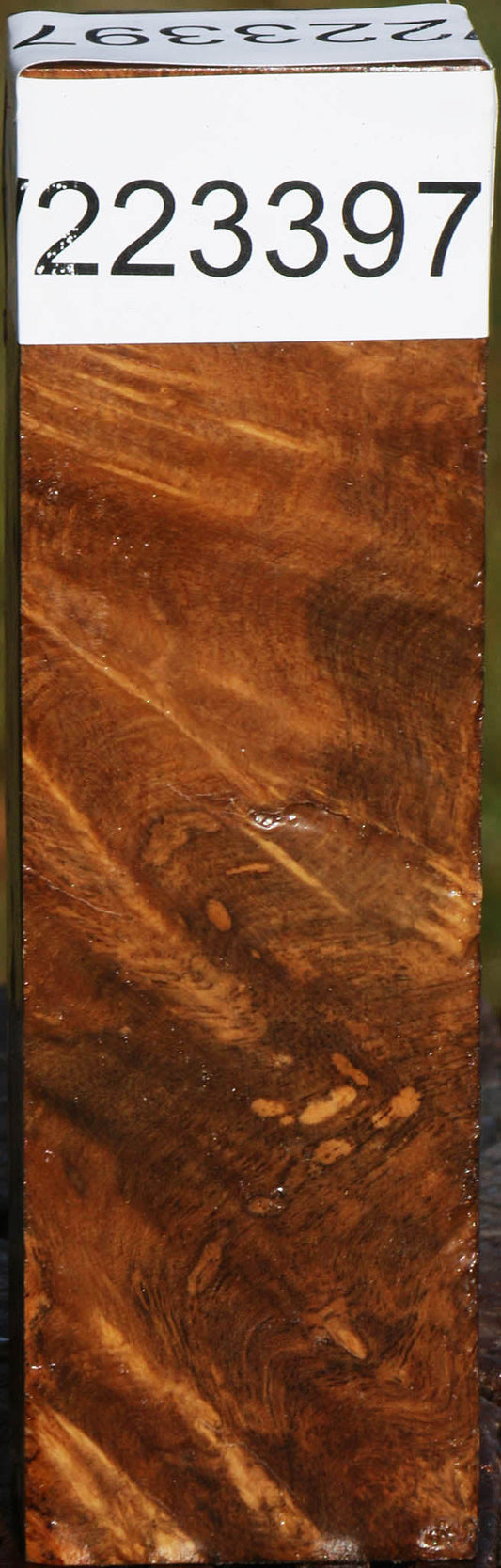 Almond Burl Lumber