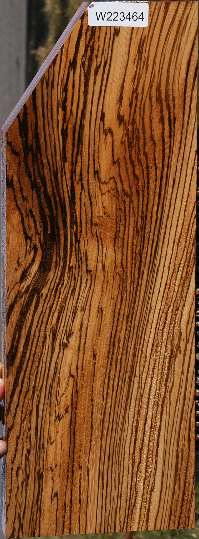 Extra Fancy Zebrawood Instrument Lumber