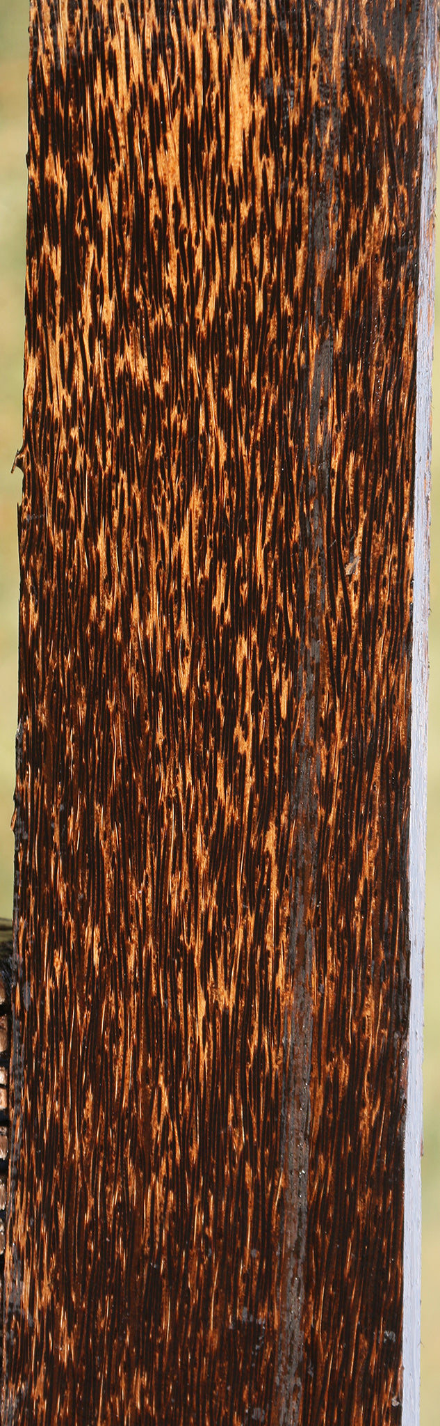 Black Palm Lumber