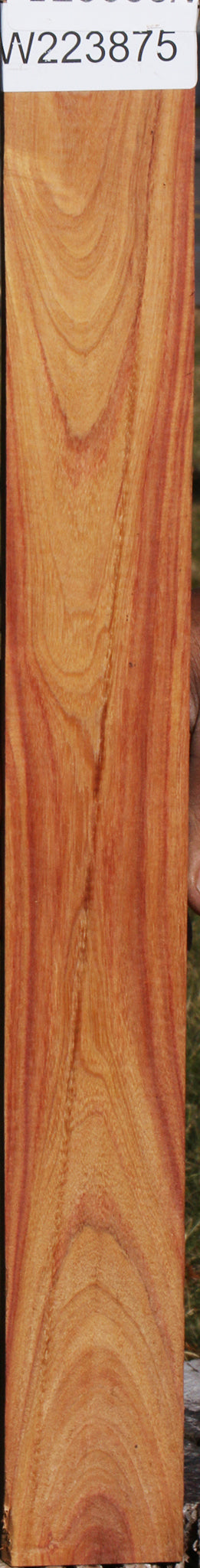 Tulipwood Lumber