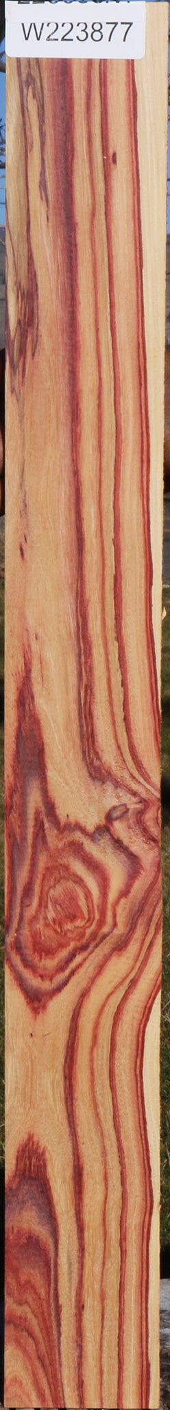 Extra Fancy Tulipwood Lumber