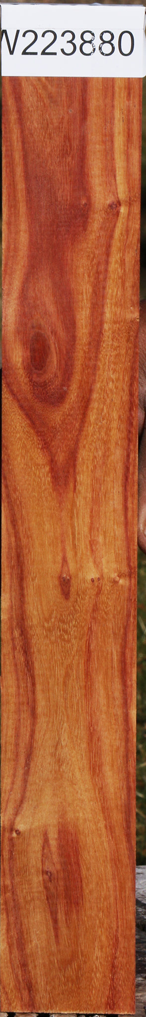 Tulipwood Lumber