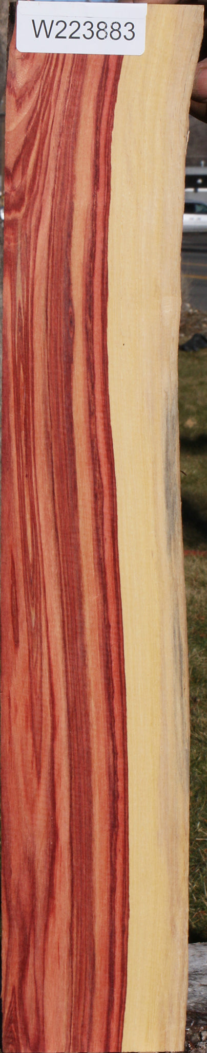 Tulipwood Live Edge Lumber