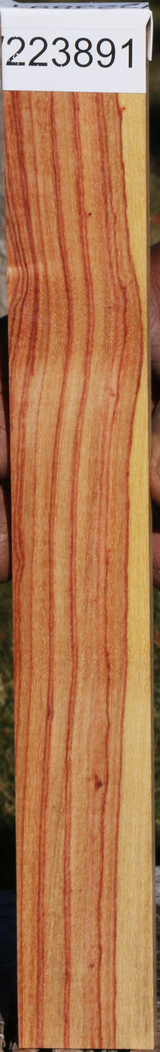 Tulipwood Lumber