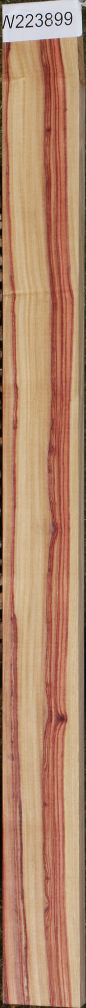 Tulipwood Micro Lumber