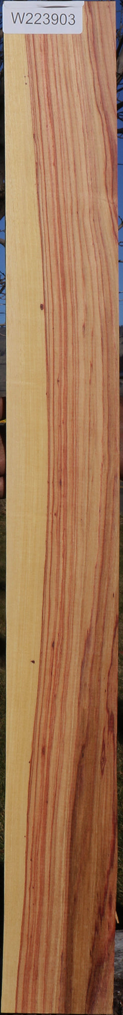 Tulipwood Lumber