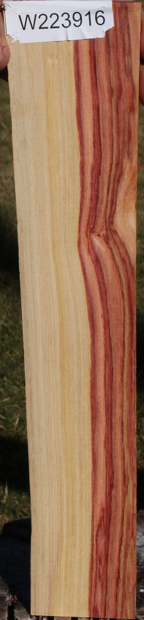 Tulipwood Live Edge Micro Lumber