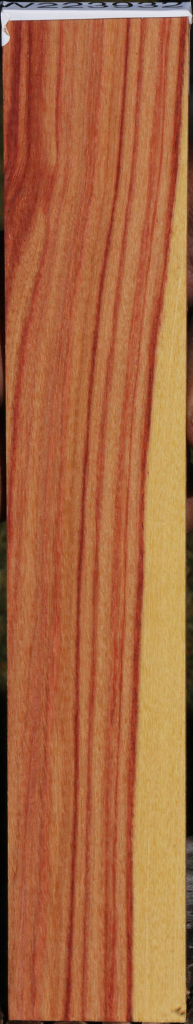 Tulipwood Micro Lumber