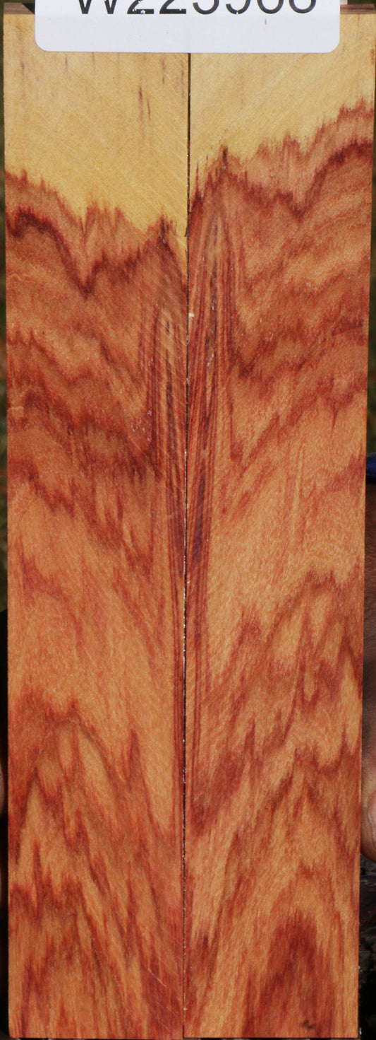 Tulipwood Knife Scales