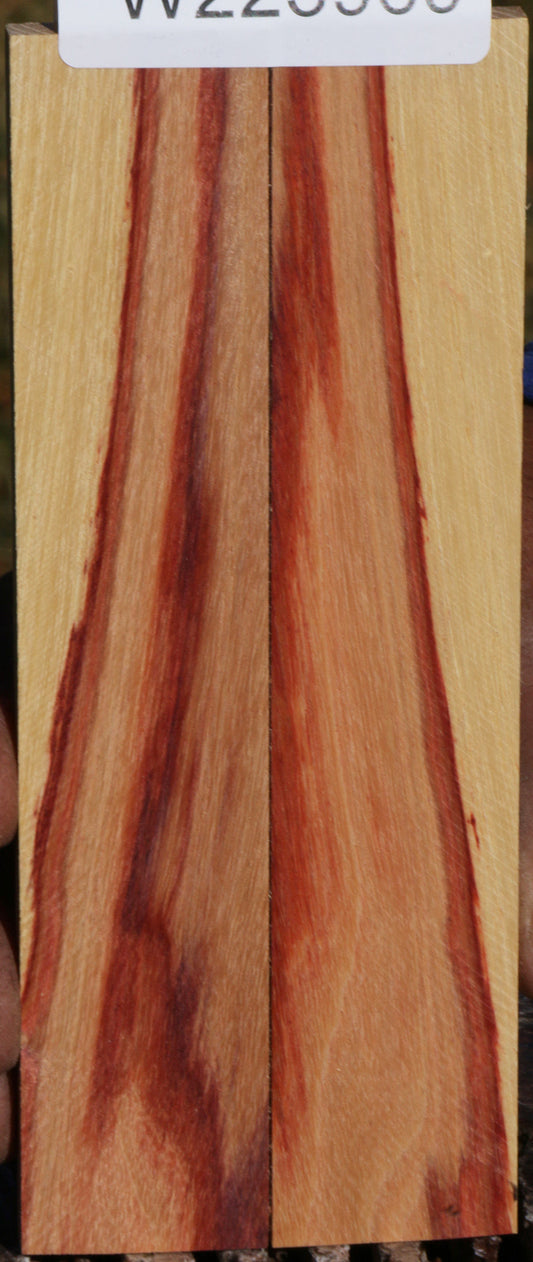 Tulipwood Knife Scales