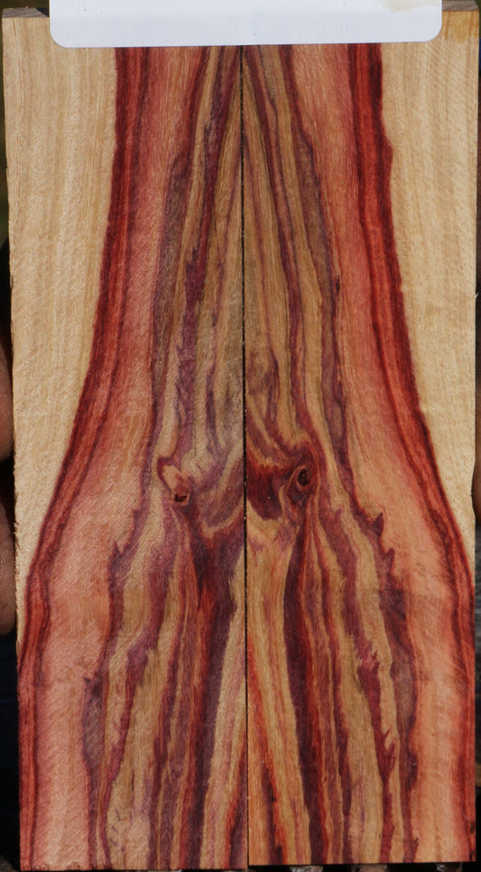 Tulipwood Knife Scales