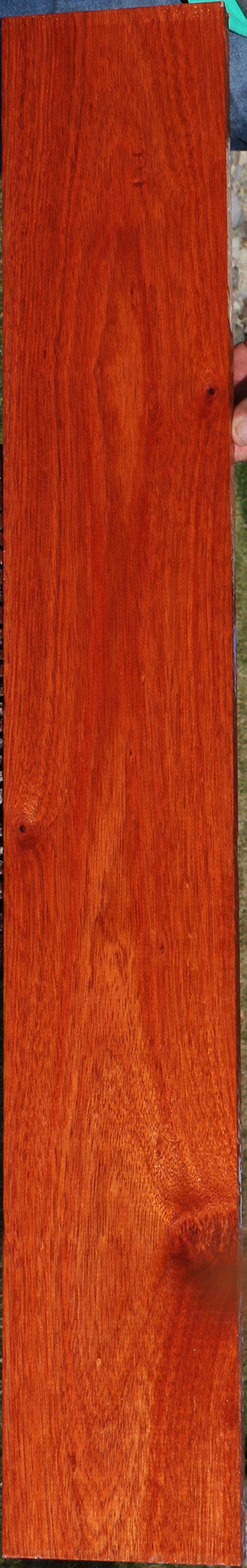 Bloodwood Lumber