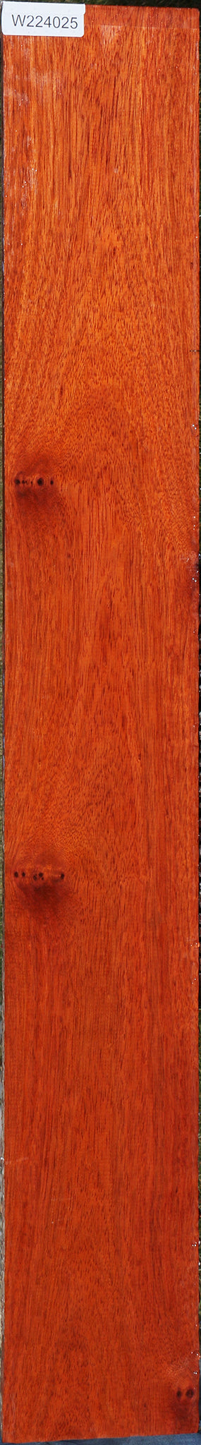 Bloodwood Lumber