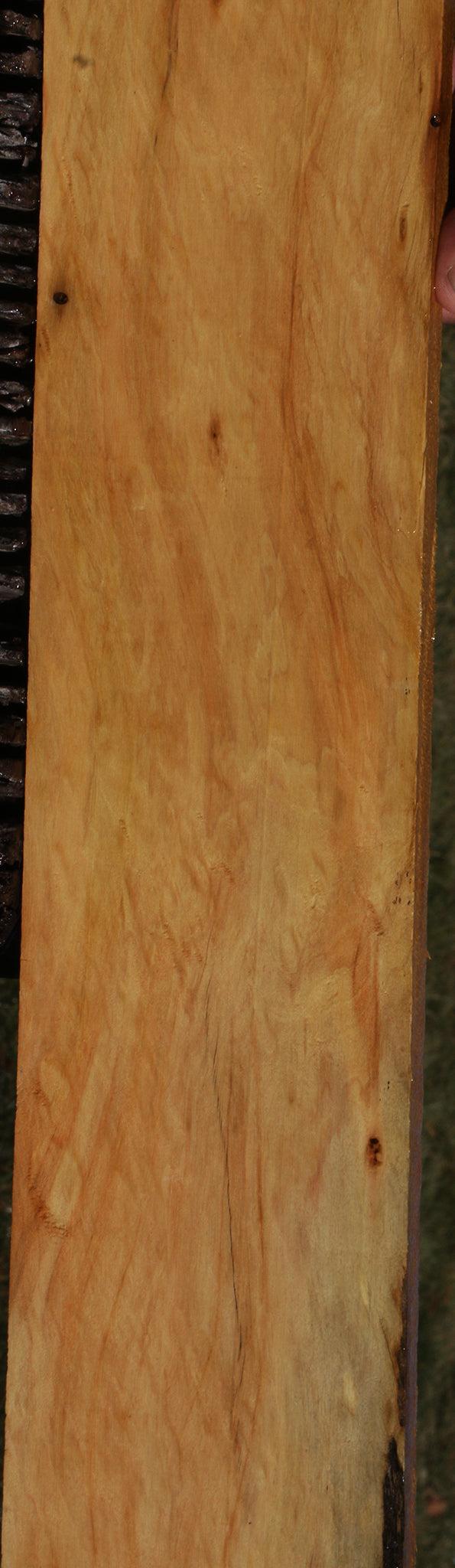 Figured Kirandy Lumber