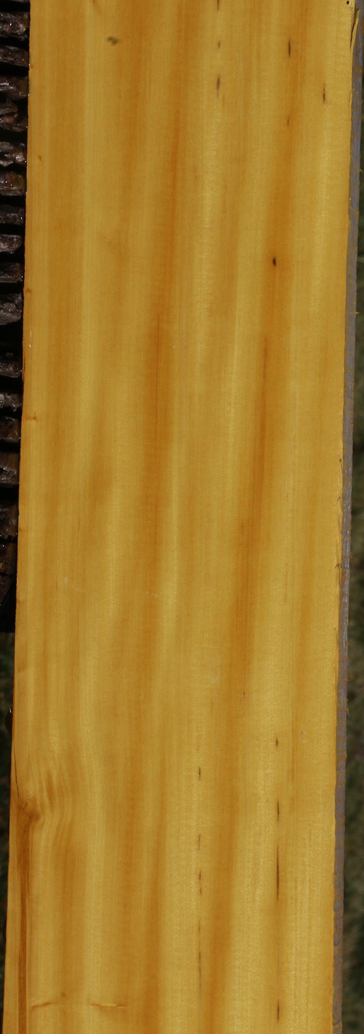 Figured Kirandy Lumber