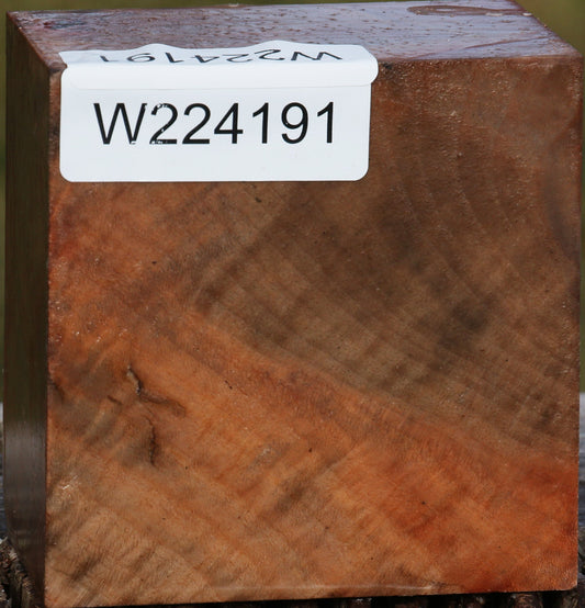 Figured Madrone Bowl Blank