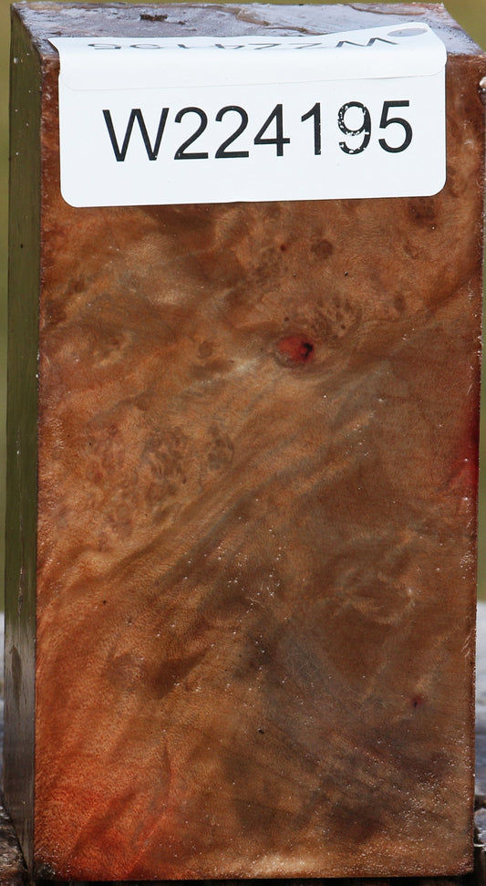 Madrone Burl Turning Blank