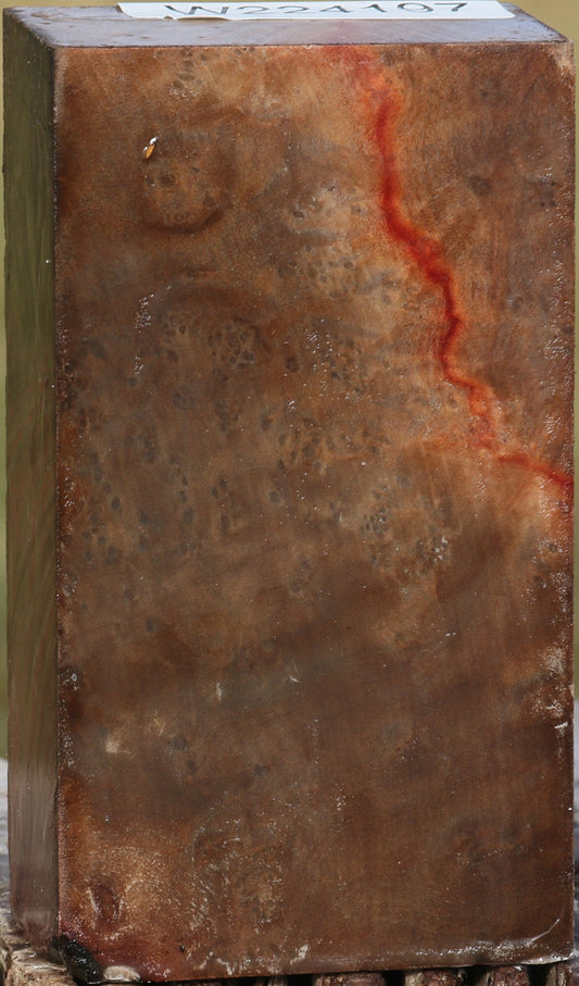 Extra Fancy Madrone Burl Turning Blank