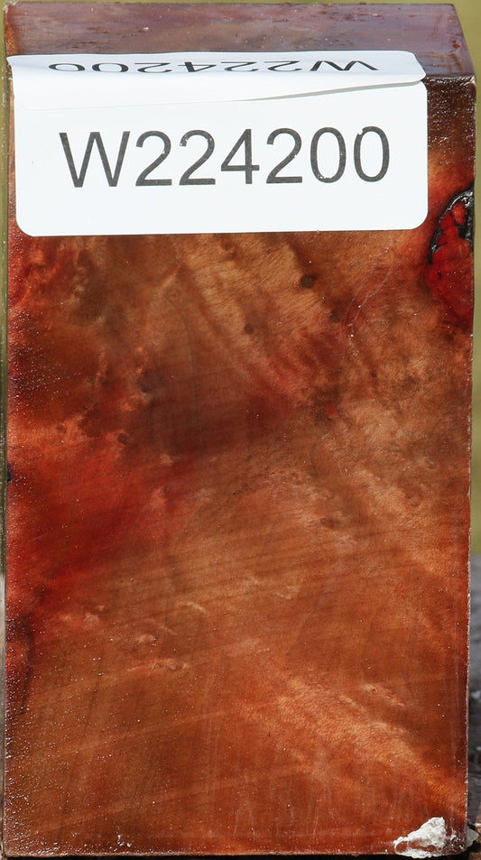 Madrone Burl Turning Square