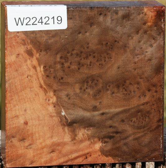 Madrone Burl Bowl Blank