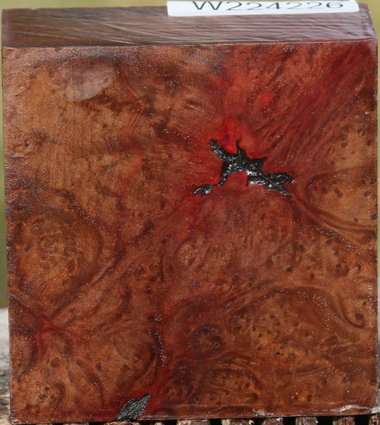 Madrone Burl Bowl Blank