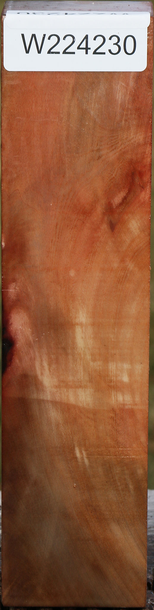 Madrone Turning Square