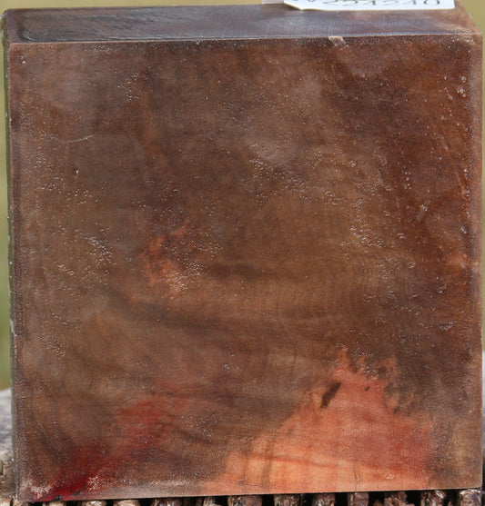 Figured Madrone Bowl Blank