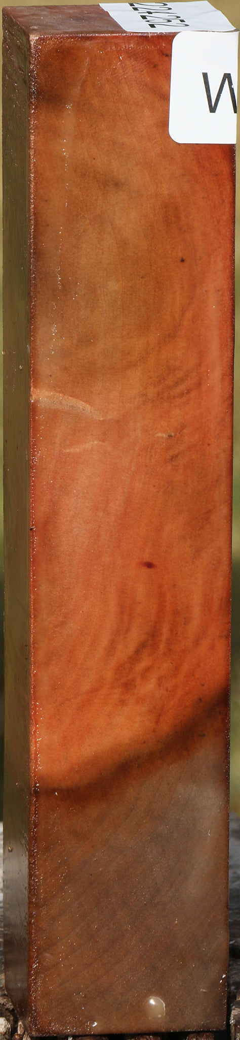 Figured Madrone Turning Square