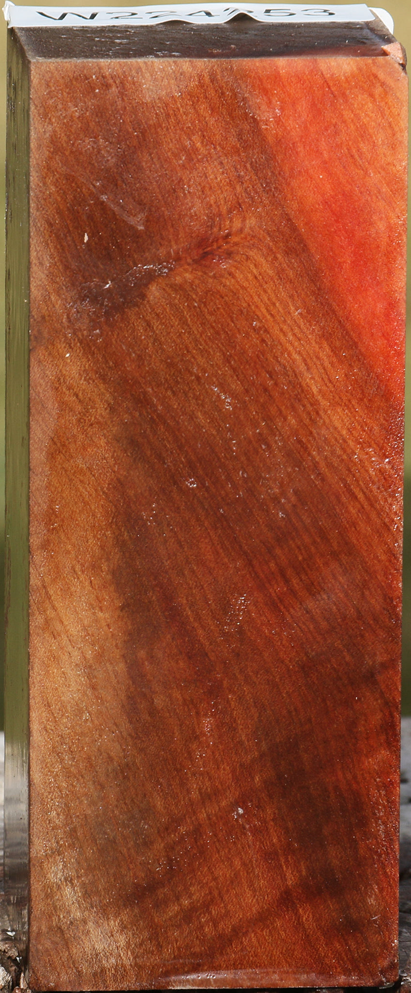 Figured Madrone Turning Square