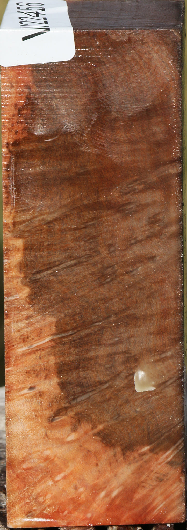 Madrone Burl Turning Square