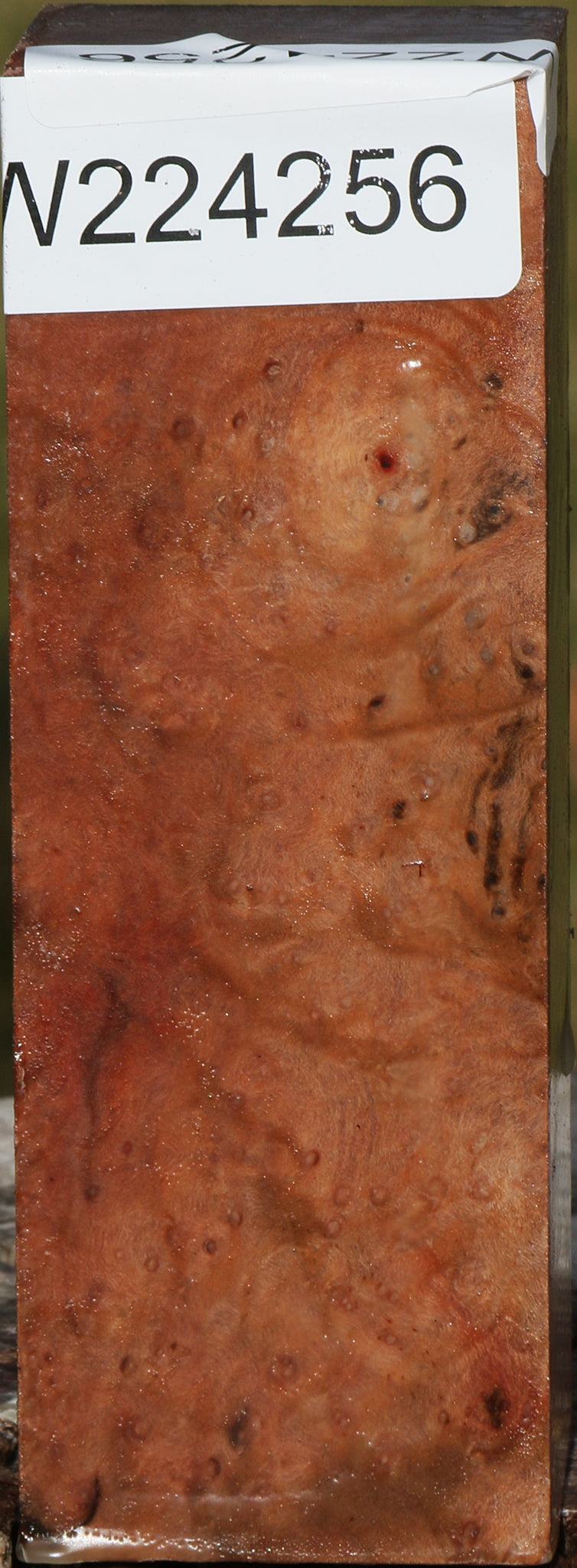 Madrone Burl Turning Square