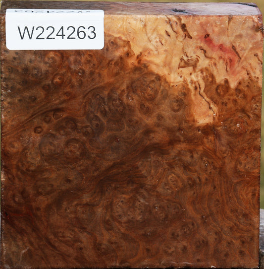 Extra Fancy Madrone Burl Bowl Blank