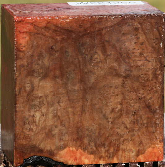 Extra Fancy Madrone Burl Bowl Blank