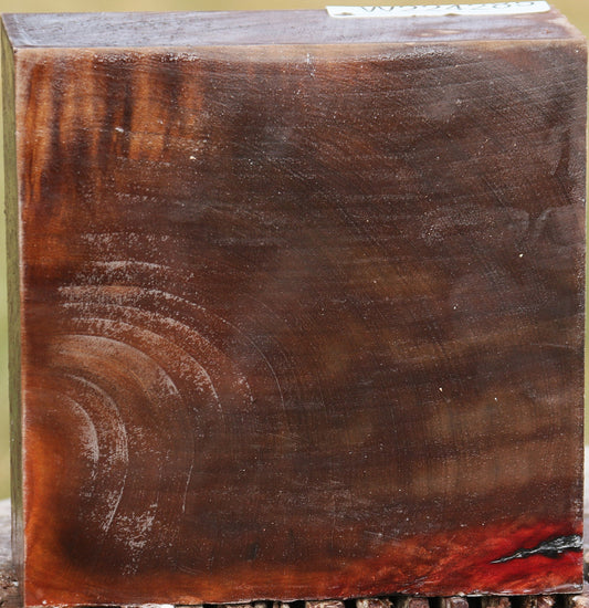 Figured Madrone Bowl Blank