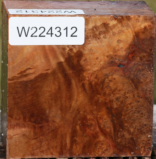 Madrone Burl Bowl Blank