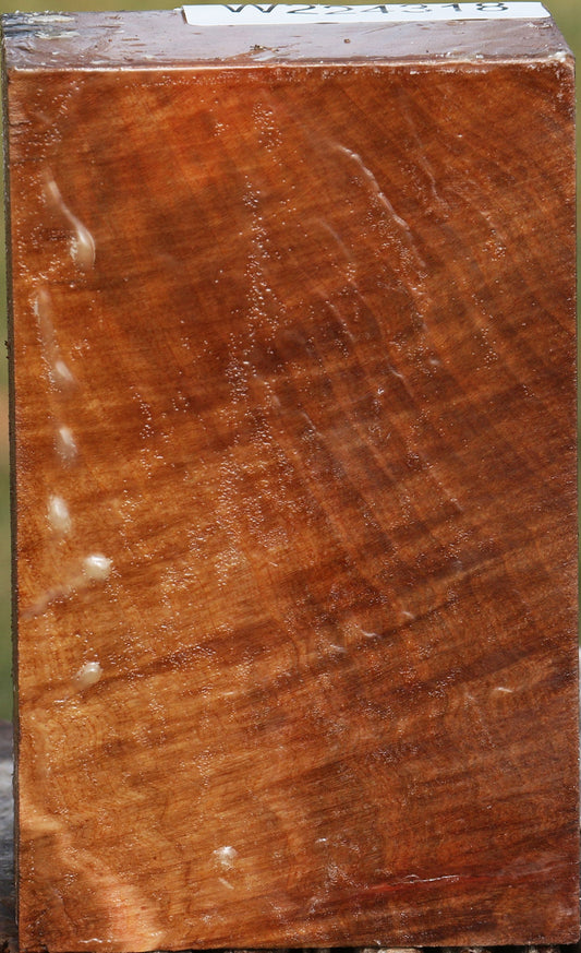 Extra Fancy Madrone Turning Blank